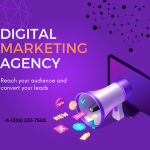 Cambridge CA Digital Marketing Agency